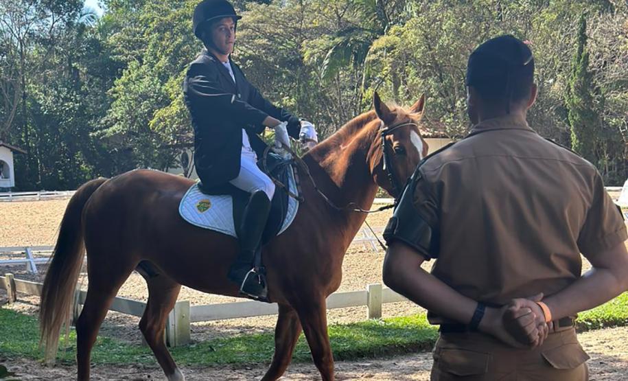 Terapia com cavalos oferecida pela PMPR colabora na qualidade de vida de pessoas com deficiência