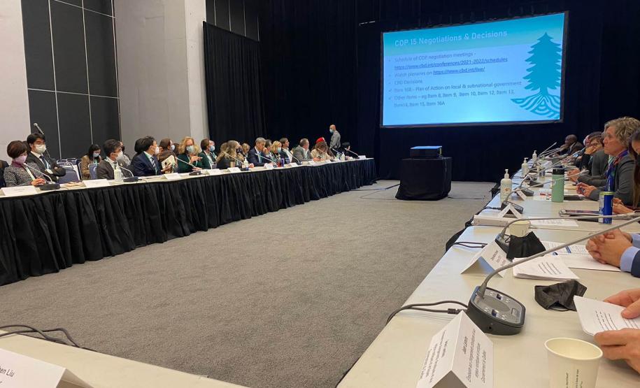 Paraná toma posse nesta semana no Conselho da coalizão pelo sustentabilidade Regions4