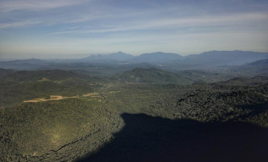 Mata Atlântica: BRDE e Fundação Grupo Boticário firmam parceria sustentável