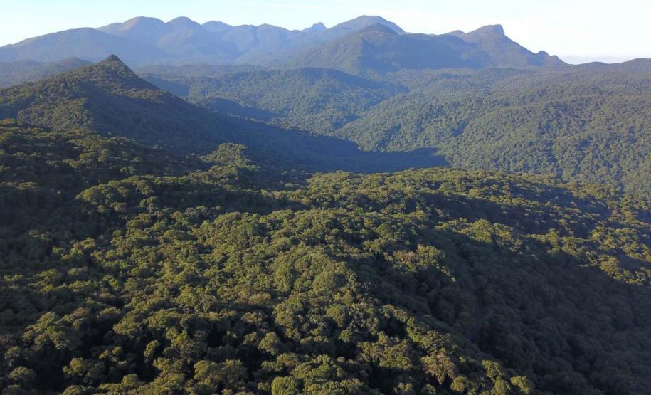 Mata Atlântica: BRDE e Fundação Grupo Boticário firmam parceria sustentável