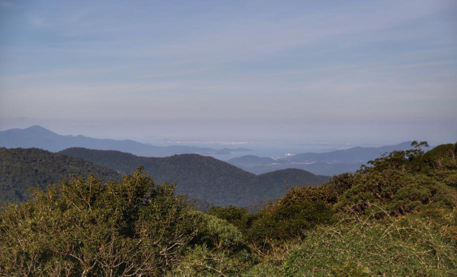 Mata Atlântica: BRDE e Fundação Grupo Boticário firmam parceria sustentável