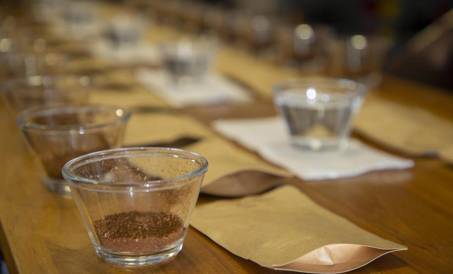 A descoberta de uma fonte de água mineral diferenciada, no município de Quitandinha, Região Metropolitana de Curitiba, deu início a um projeto inovador desenvolvido pelos empreendedores Jackson Werneck Andrade e Cícero Caiçara Junior