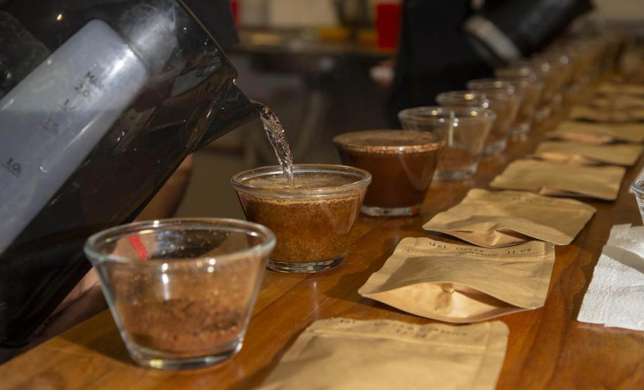 A descoberta de uma fonte de água mineral diferenciada, no município de Quitandinha, Região Metropolitana de Curitiba, deu início a um projeto inovador desenvolvido pelos empreendedores Jackson Werneck Andrade e Cícero Caiçara Junior