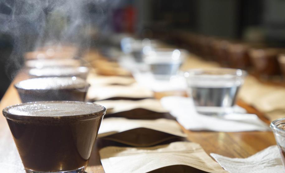 A descoberta de uma fonte de água mineral diferenciada, no município de Quitandinha, Região Metropolitana de Curitiba, deu início a um projeto inovador desenvolvido pelos empreendedores Jackson Werneck Andrade e Cícero Caiçara Junior