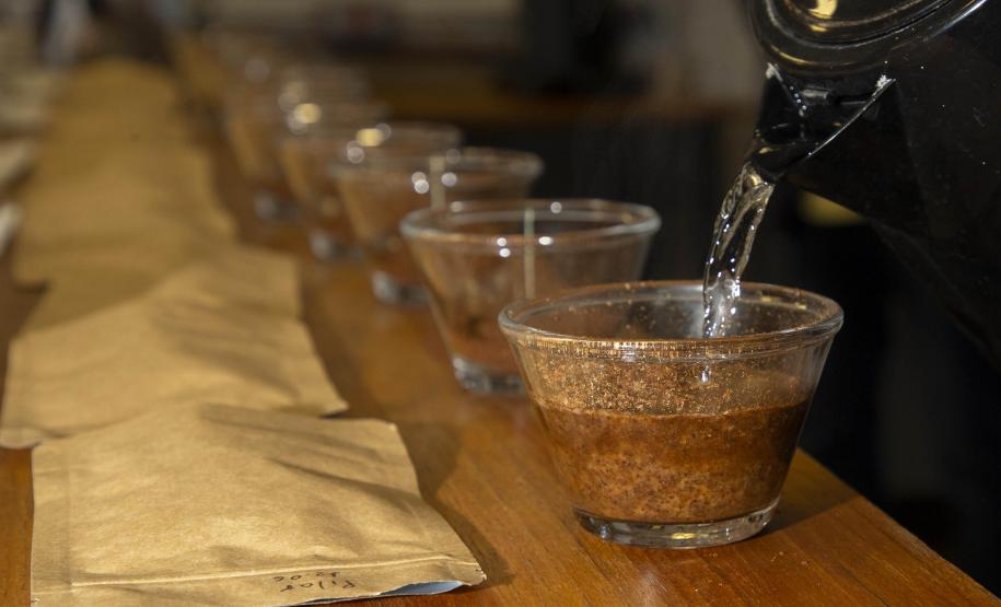 A descoberta de uma fonte de água mineral diferenciada, no município de Quitandinha, Região Metropolitana de Curitiba, deu início a um projeto inovador desenvolvido pelos empreendedores Jackson Werneck Andrade e Cícero Caiçara Junior