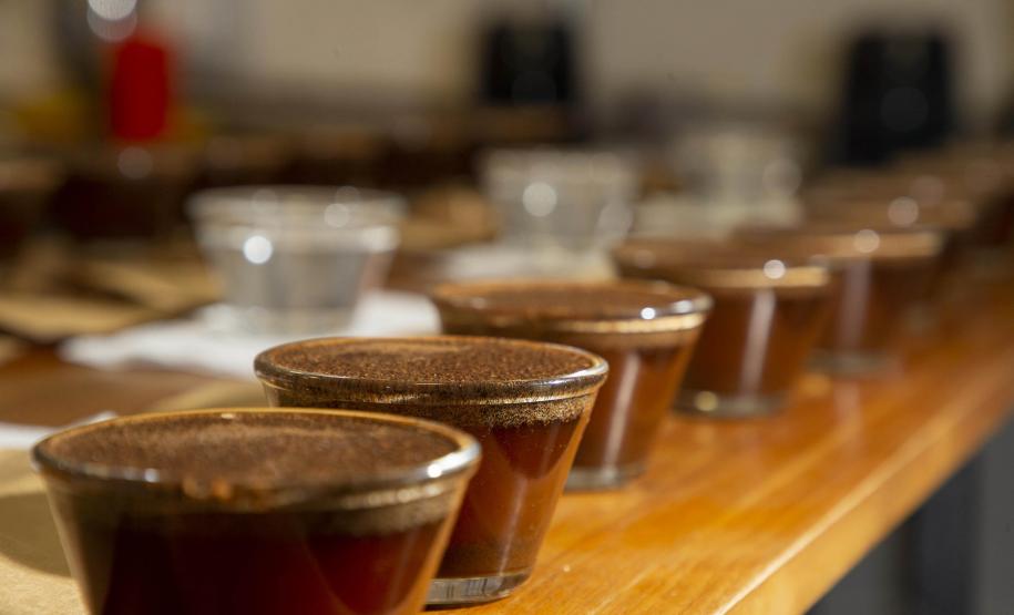 A descoberta de uma fonte de água mineral diferenciada, no município de Quitandinha, Região Metropolitana de Curitiba, deu início a um projeto inovador desenvolvido pelos empreendedores Jackson Werneck Andrade e Cícero Caiçara Junior