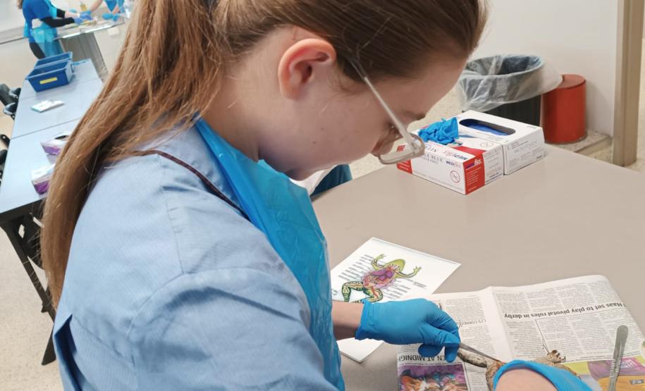 Vindos diretamente da Austrália, desembarcaram nesta terça e quarta-feira (25 e 26), no Aeroporto Internacional Afonso Pena, em São José dos Pinhais, na Grande Curitiba, 54 alunos da rede estadual de ensino que participaram da edição de 2024 do programa Ganhando o Mundo.  O programa de intercâmbio do Governo do Estado levou, entre os meses de janeiro e fevereiro, mil estudantes para cinco países de língua inglesa. Eles tiveram uma oportunidade de estudar, durante esses meses, em um curso equivalente ao Ensi