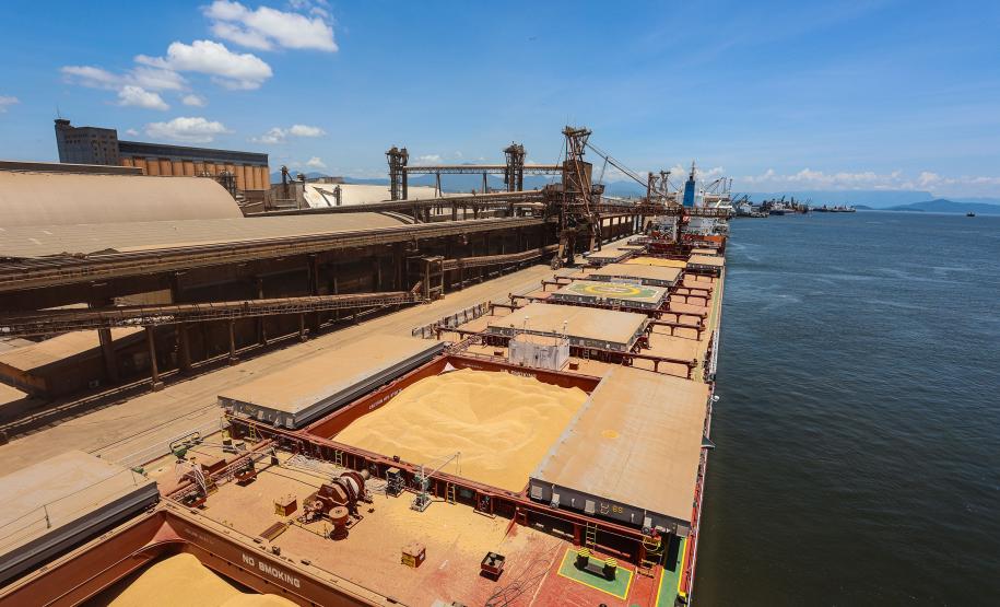 Importação cresce 14% nos portos paranaenses em 2024