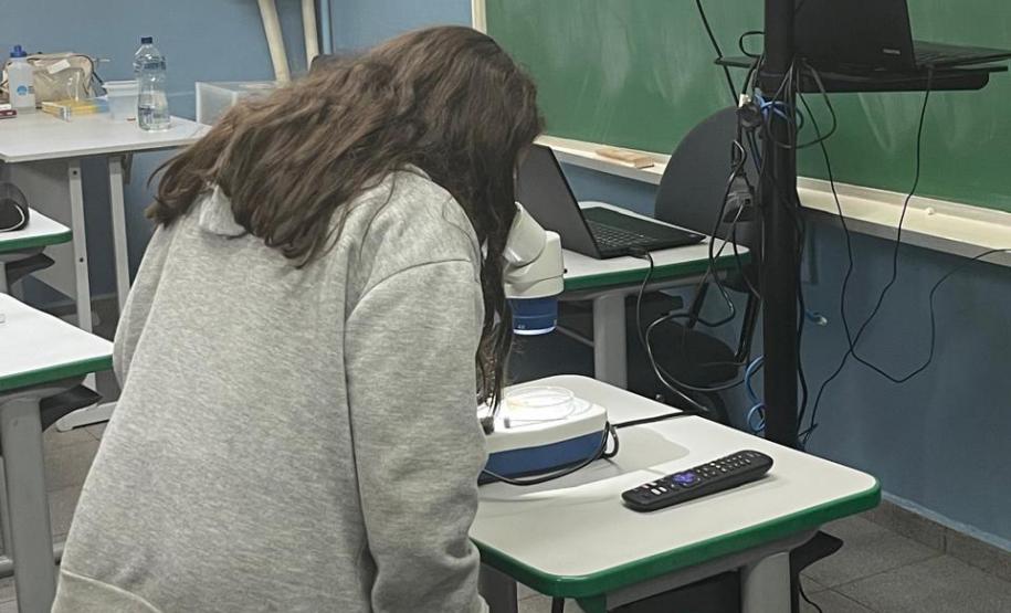 Biofábrica Wolbachia: Londrina e Foz do Iguaçu terão nova tecnologia de combate à dengue