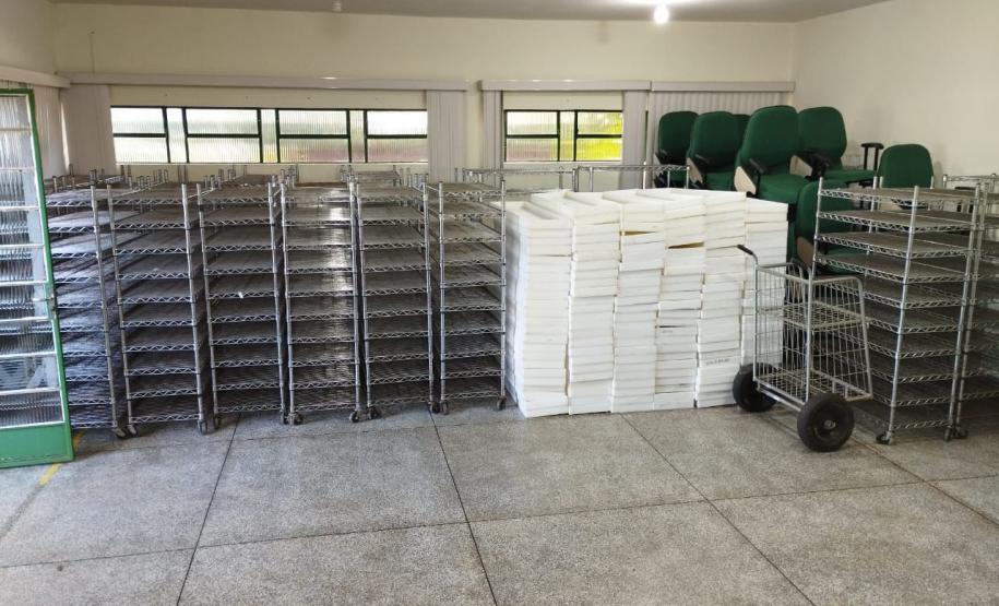 Biofábrica Wolbachia: Londrina e Foz do Iguaçu terão nova tecnologia de combate à dengue