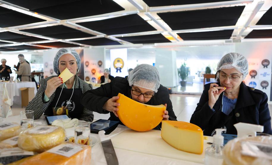 Segunda edição do Prêmio Queijos do Paraná abre inscrições em setembro