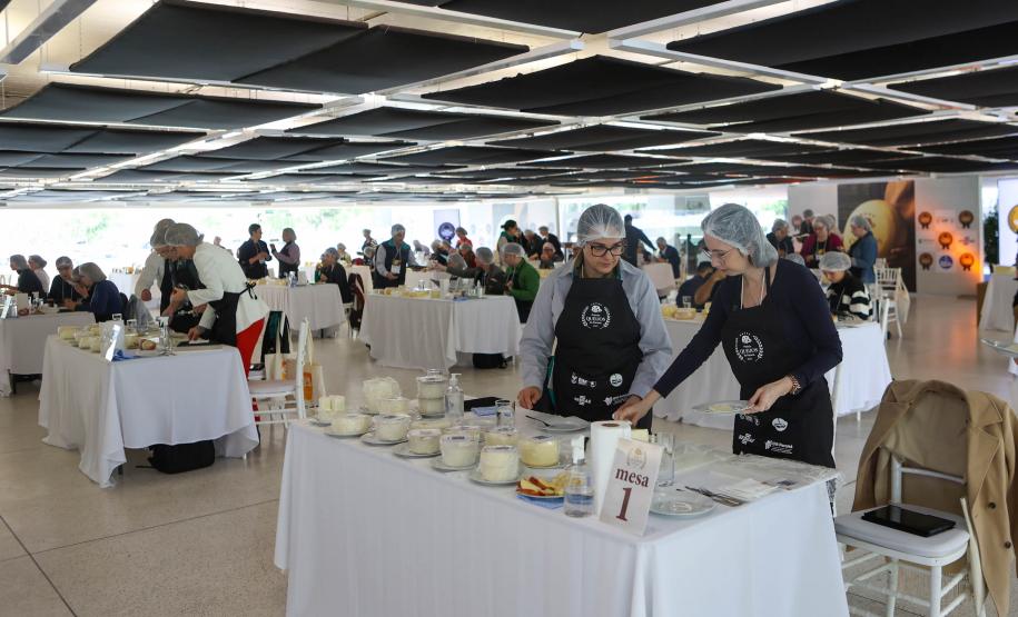 Segunda edição do Prêmio Queijos do Paraná abre inscrições em setembro