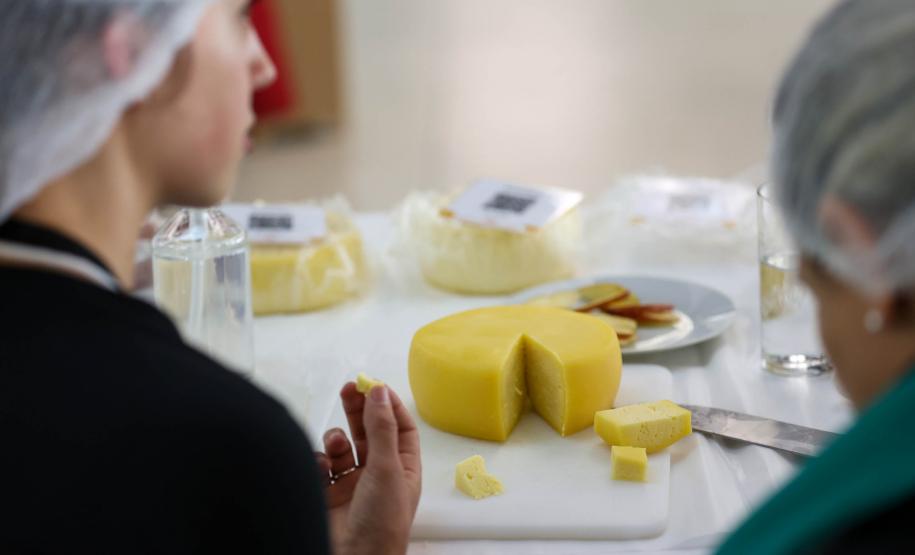 Segunda edição do Prêmio Queijos do Paraná abre inscrições em setembro