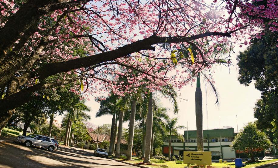 UEM ainda disponibiliza vagas para curso gratuito de empreendedorismo