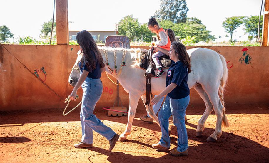 Criado há 9 anos, núcleo da UENP se destaca por terapia com cavalos