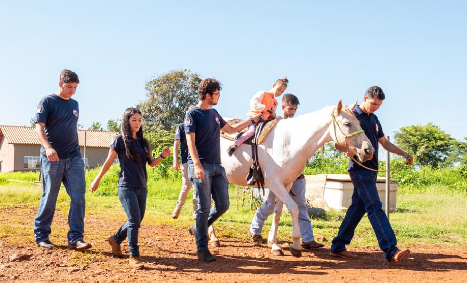 Criado há 9 anos, núcleo da UENP se destaca por terapia com cavalos