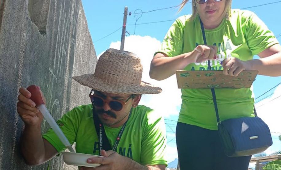 Estado investe R$ 100 milhões em vigilância em saúde e combate à dengue no semestre