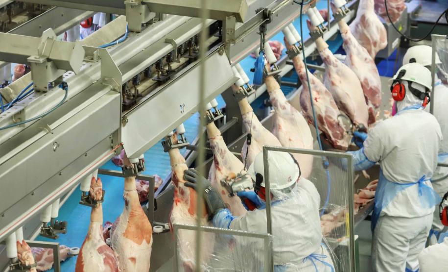 Paraná é principal porta de entrada para maior parte do arroz importado pelo Brasil