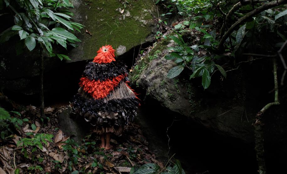 Museu Paranaense (MUPA) - Videoinstalação de Glicéria Tupinambá – Já está em cartaz a videoinstalação “Nós somos pássaros que andam”, da artista e ativista indígena Glicéria Tupinambá.