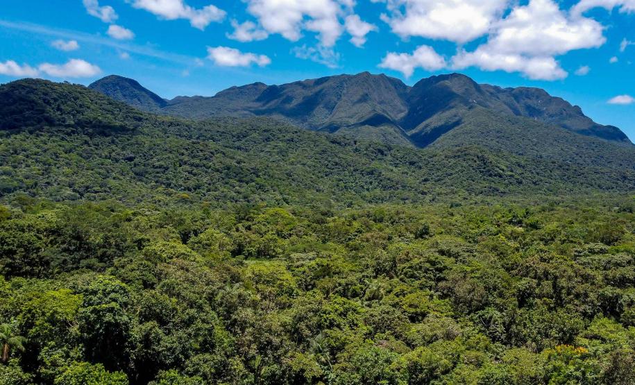 Paraná avança para ser 1º governo subnacional a adotar créditos de biodiversidade