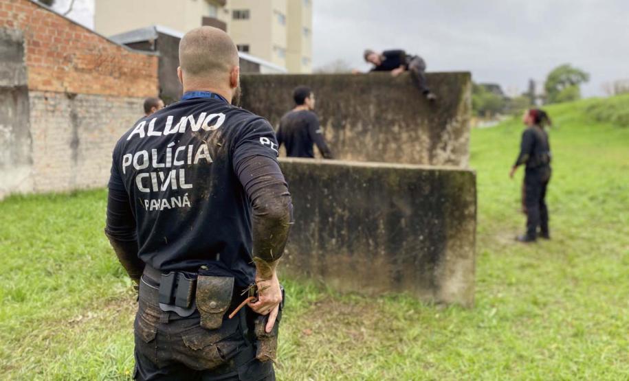 Paraná tem menor número de homicídios no 1º semestre em 18 anos; roubos caem 24%