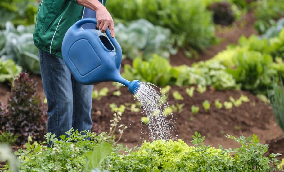 Governador sanciona reajuste de programas rurais de combate à vulnerabilidade