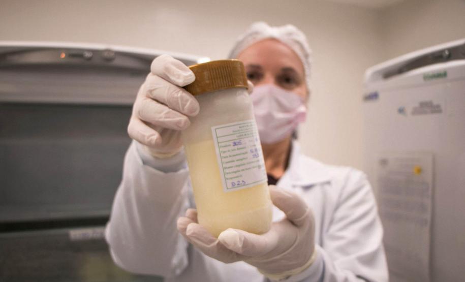 Rede de aleitamento materno e hospitais certificados ajudam milhares de bebês todos os anos - A Secretaria de Estado da Saúde (Sesa) possui a Rede Estadual de Bancos de Leite Humano, que atualmente conta com 15 bancos de leite humano (BLH) e 15 postos de coleta (PCLH) em todo Estado