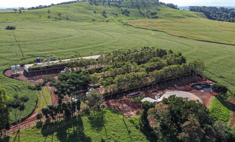 Roberto Dziura Jr/AEN