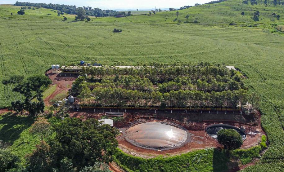 Roberto Dziura Jr/AEN