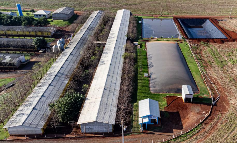 Série de reportagens da AEN vai mostrar a transformação no campo com a energia renovável