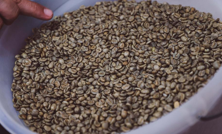 Governo levará empresários e profissionais do Paraná ao Salão Nacional do Turismo