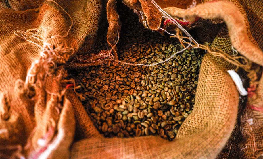 Governo levará empresários e profissionais do Paraná ao Salão Nacional do Turismo