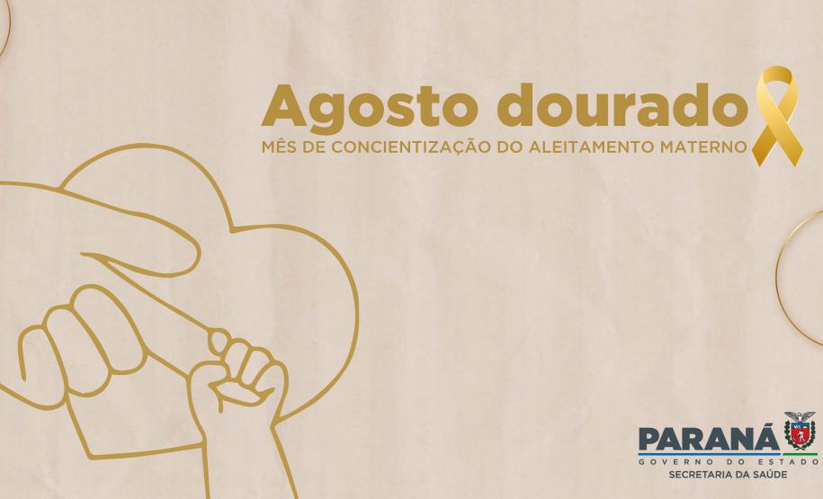 Rede de aleitamento materno e hospitais certificados ajudam milhares de bebês todos os anos - A Secretaria de Estado da Saúde (Sesa) possui a Rede Estadual de Bancos de Leite Humano, que atualmente conta com 15 bancos de leite humano (BLH) e 15 postos de coleta (PCLH) em todo Estado