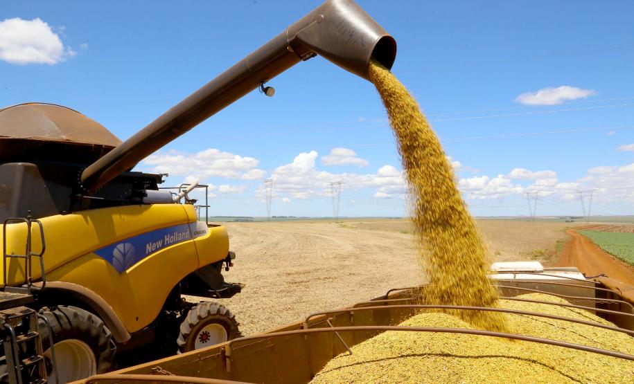 Colheita de soja.Foto: Jaelson Lucas / Arquivo AEN