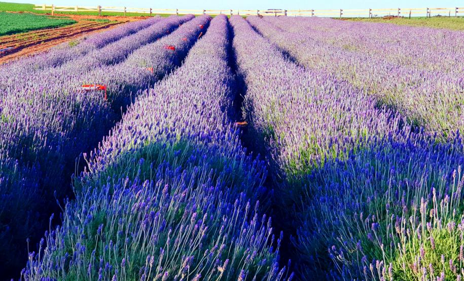 Governo levará empresários e profissionais do Paraná ao Salão Nacional do Turismo