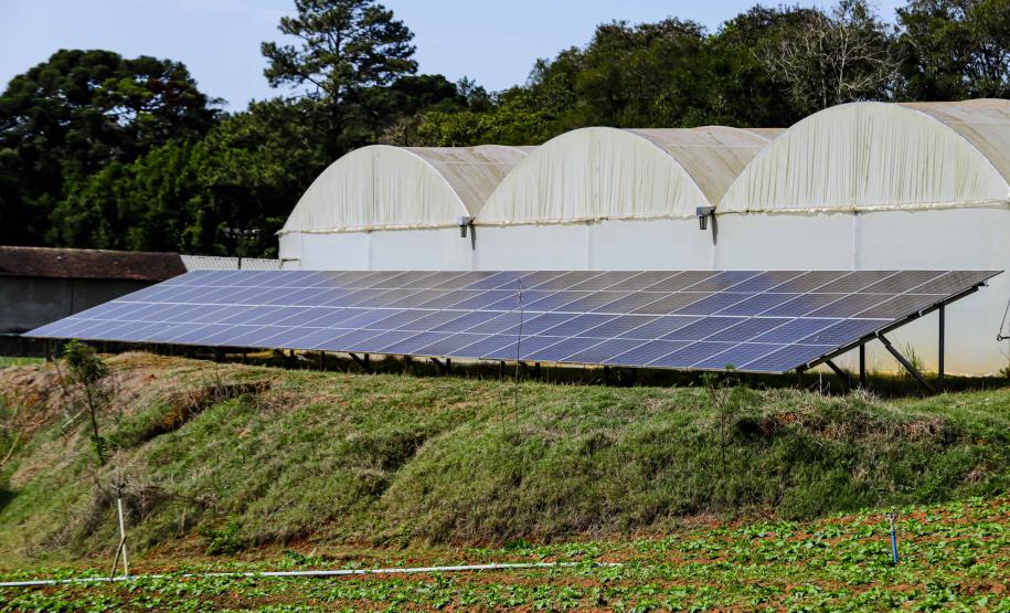 Série de reportagens da AEN vai mostrar a transformação no campo com a energia renovável