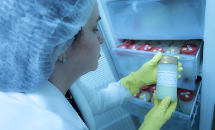 Rede de aleitamento materno e hospitais certificados ajudam milhares de bebês todos os anos - A Secretaria de Estado da Saúde (Sesa) possui a Rede Estadual de Bancos de Leite Humano, que atualmente conta com 15 bancos de leite humano (BLH) e 15 postos de coleta (PCLH) em todo Estado