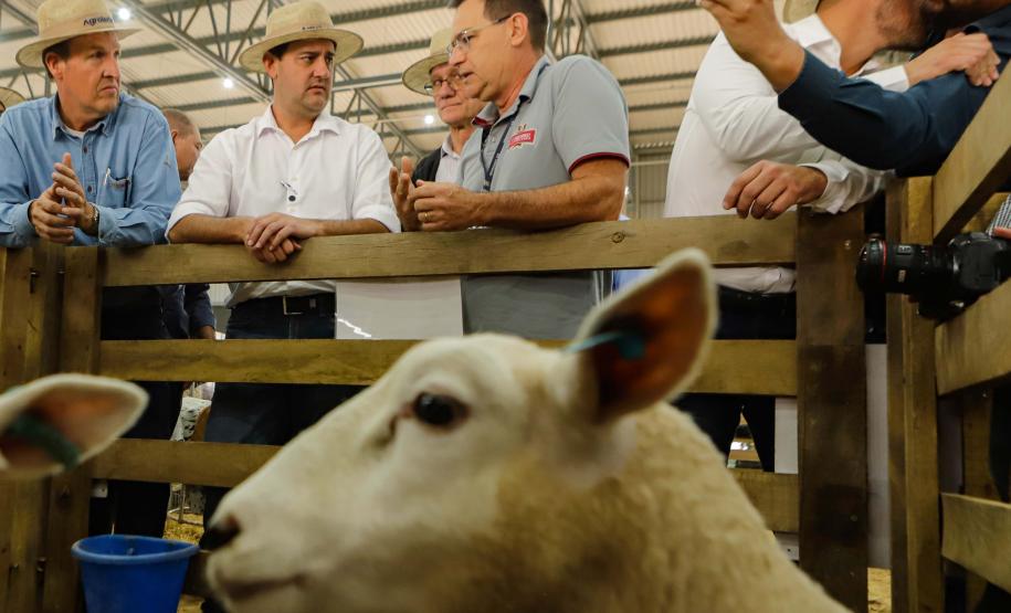 Governador assina acordo com Castrolanda para criação de Parque Tecnológico do Agroleite