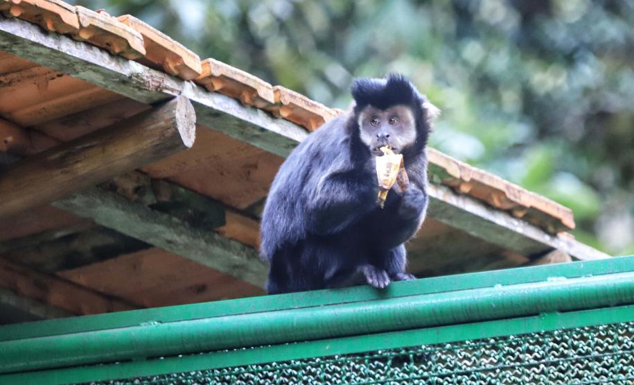 José Fernando Ogura/Arquivo AEN