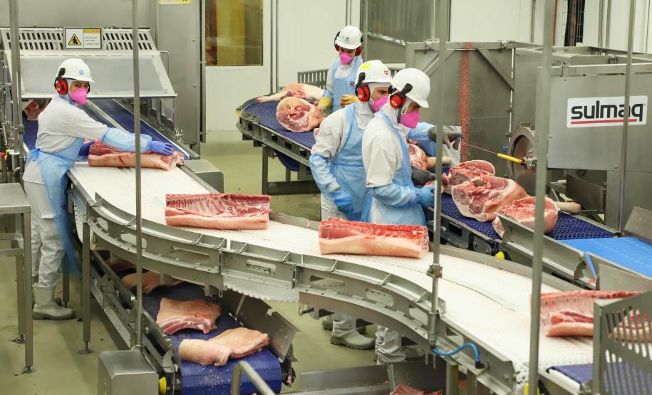 Foto: José Fernando Ogura/Arquivo AEN