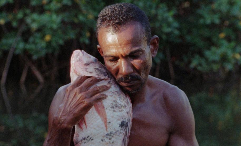 Na foto, Jardim Efrain Almeida