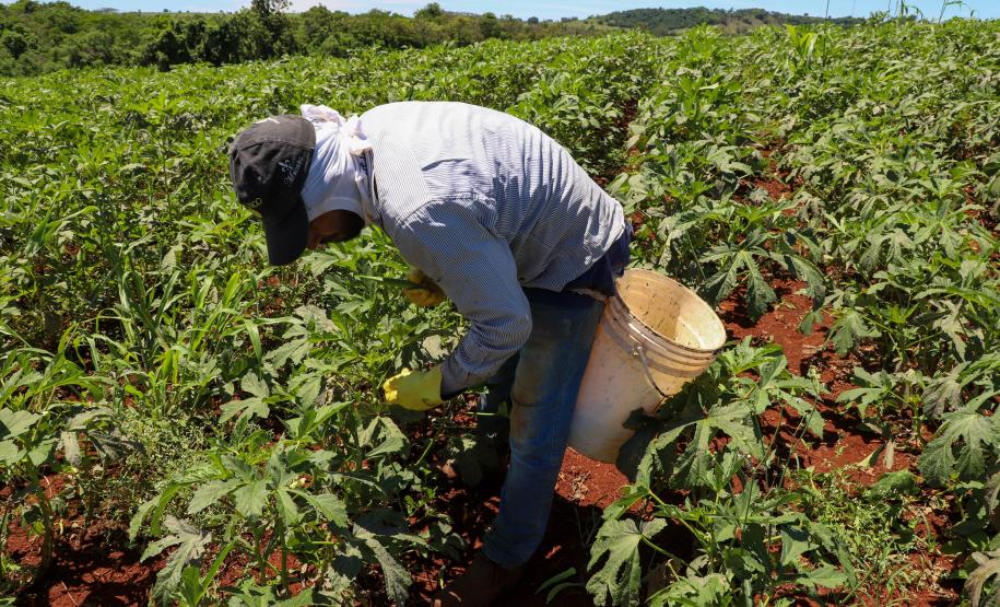 Governador sanciona reajuste de programas rurais de combate à vulnerabilidade