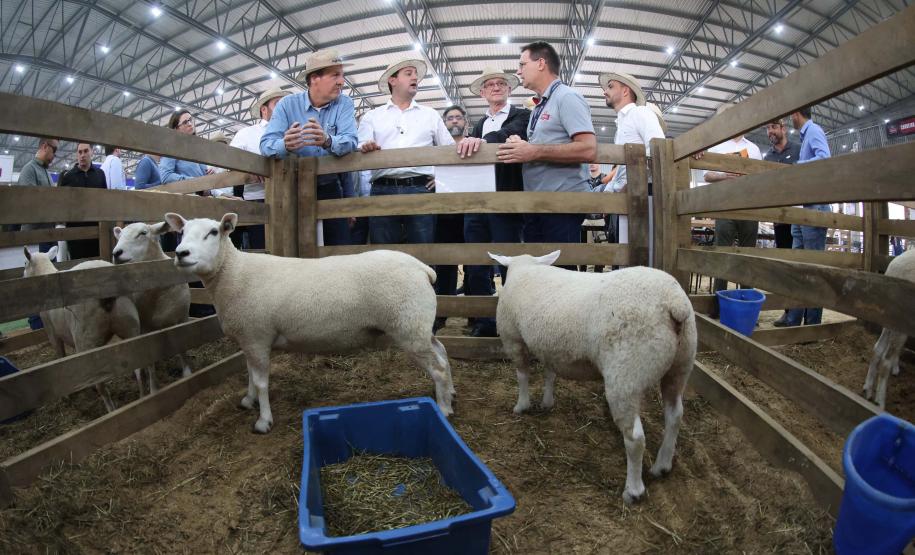 Governador assina acordo com Castrolanda para criação de Parque Tecnológico do Agroleite