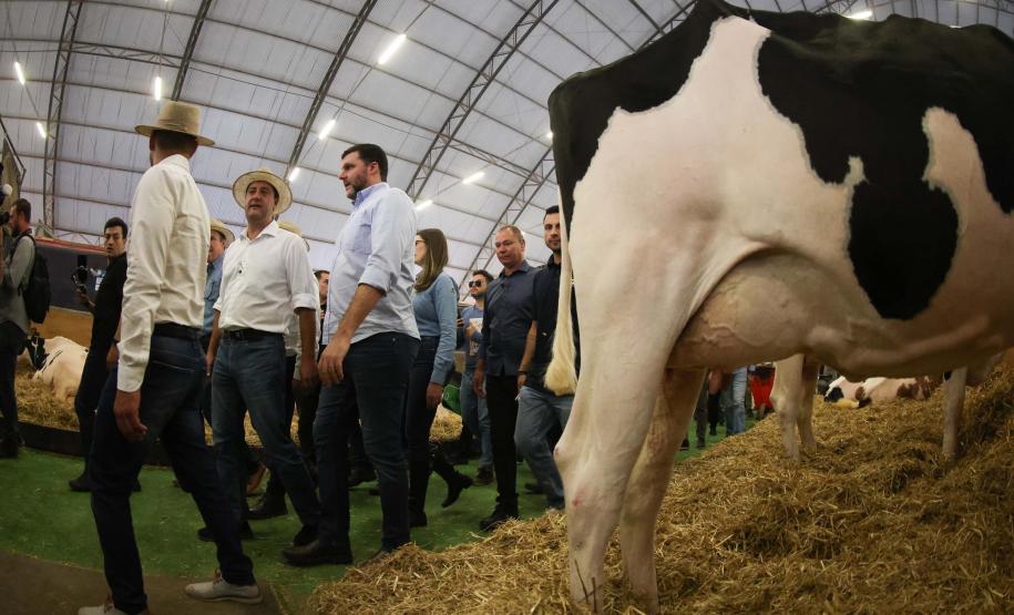 Governador assina acordo com Castrolanda para criação de Parque Tecnológico do Agroleite