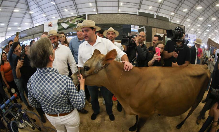 Governador assina acordo com Castrolanda para criação de Parque Tecnológico do Agroleite