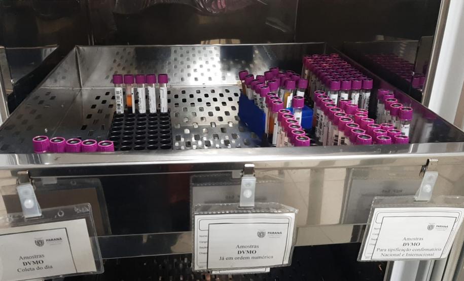 Solidariedade: Paraná tem o 3º maior cadastro de doadores de medula óssea do Brasil