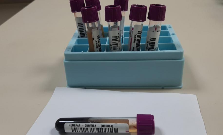 Solidariedade: Paraná tem o 3º maior cadastro de doadores de medula óssea do Brasil