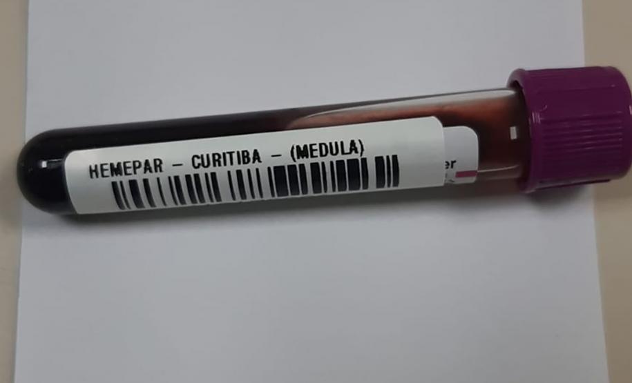 Solidariedade: Paraná tem o 3º maior cadastro de doadores de medula óssea do Brasil