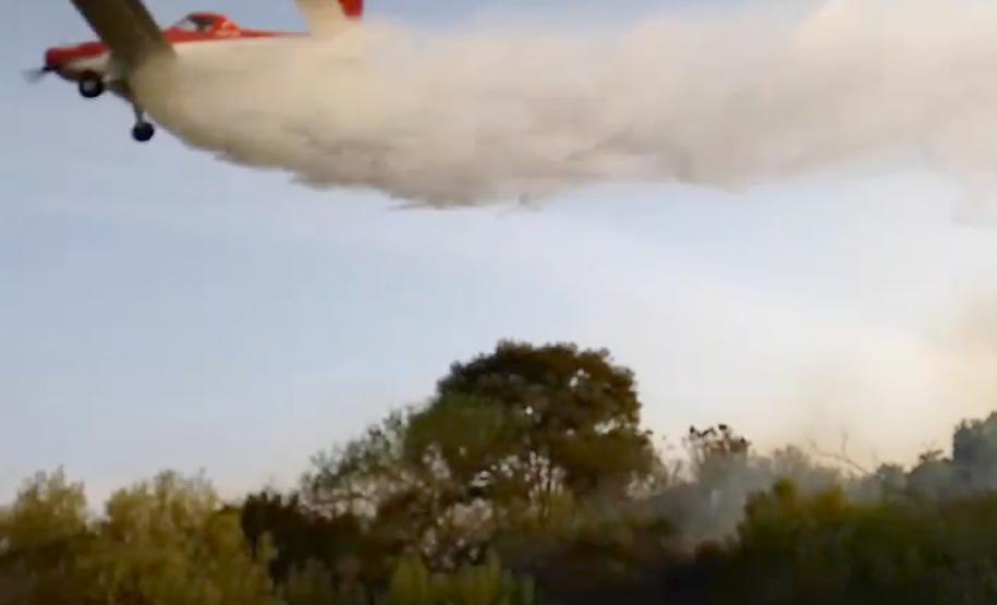 Avião contratado pelo Estado reduziu em 4 horas combate a incêndio em Palmeira