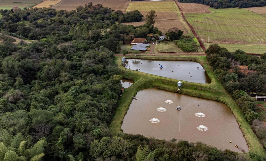 Foto: Roberto Dziura Jr/AEN